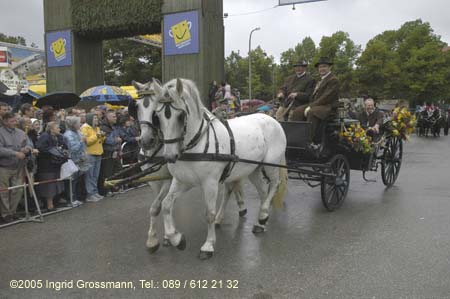 050917ig1_wirteeinzug021