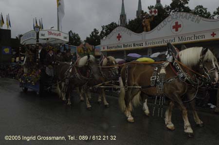 050917ig1_wirteeinzug116