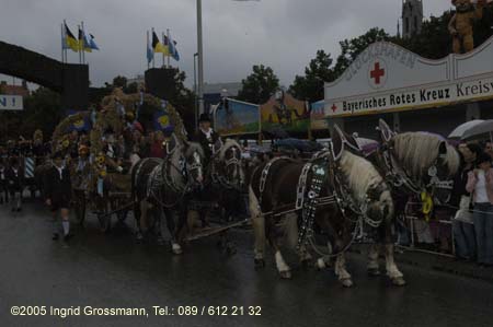 050917ig1_wirteeinzug135