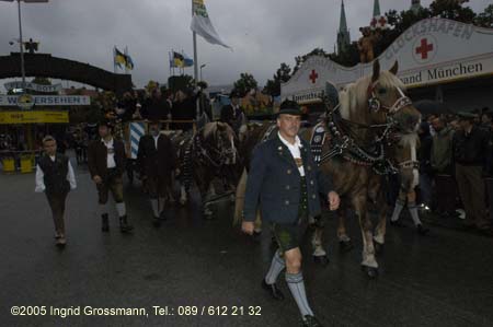 050917ig1_wirteeinzug139