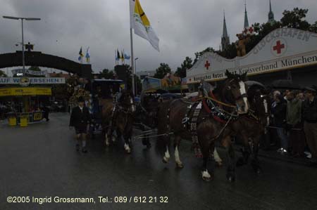 050917ig1_wirteeinzug145