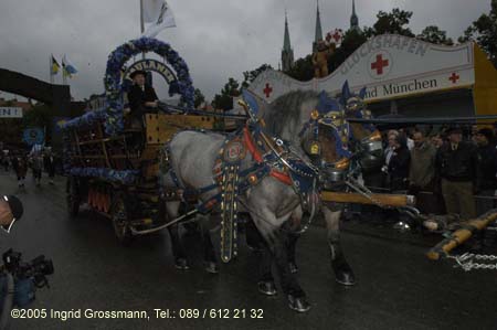 050917ig1_wirteeinzug148