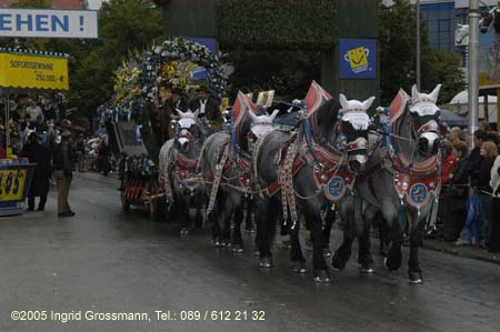 050917ig1_wirteeinzug158