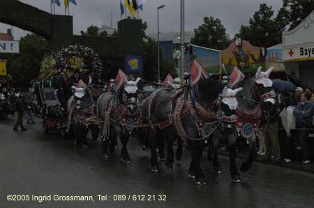 050917ig1_wirteeinzug159