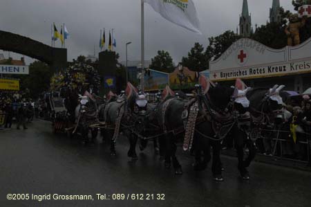 050917ig1_wirteeinzug160