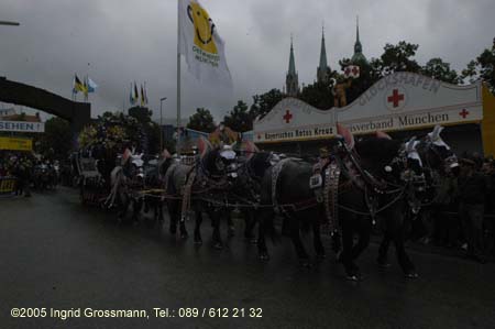 050917ig1_wirteeinzug161