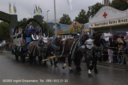 050917ig1_wirteeinzug173