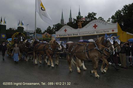 050917ig1_wirteeinzug194