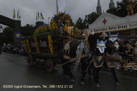 050917ig1_wirteeinzug205