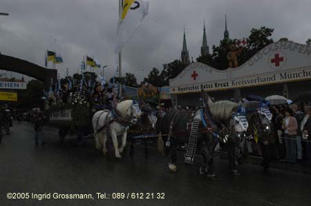 050917ig1_wirteeinzug209