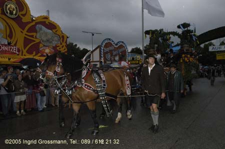 050917ig1_wirteeinzug221