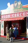 050923flohzirkus01