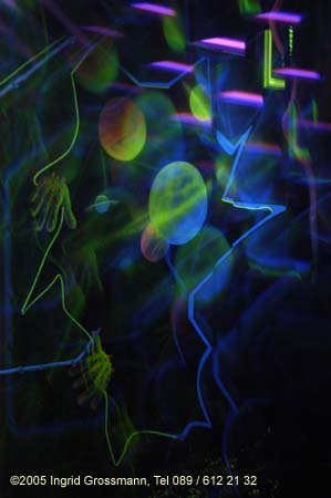 050921imagination537