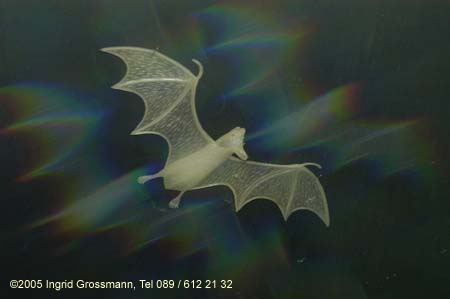 050921imagination545