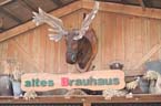 060912altes_brauhaus1