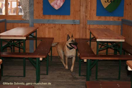 060916wiesn_auftakt007