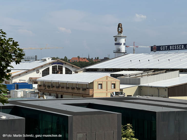 240812wiesnaufbau43t002