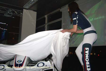 060207bmw_ndl_armbr101