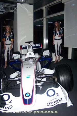 060207bmw_ndl_armbr105