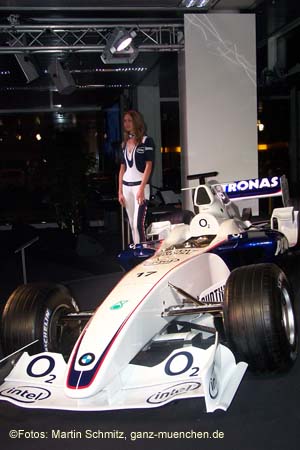 060207bmw_ndl_armbr110