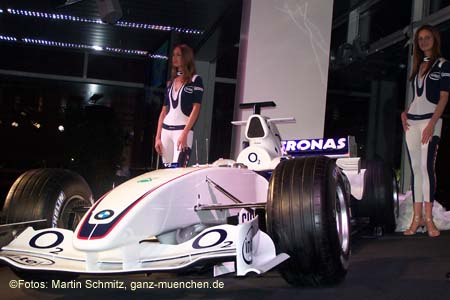 060207bmw_ndl_armbr111