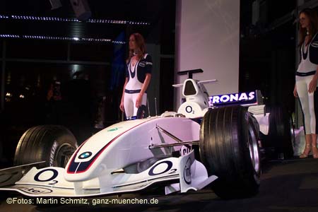 060207bmw_ndl_armbr113