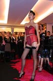 081120agentprovocateur050