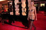 081120agentprovocateur092