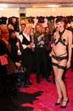 081120agentprovocateur128
