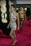 081120agentprovocateur139