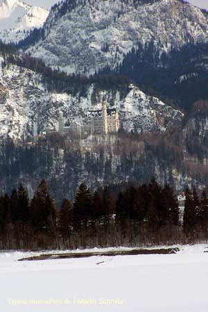 050311neuschwanstein01