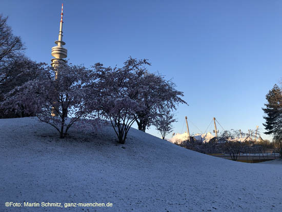 Winter Hanami @ Olympiapark M&uuml;nchen am 6.4.2021 / 210406winter_hanami002 &copy;Foto: Martin Schmitz, ganz-muenchen.de 