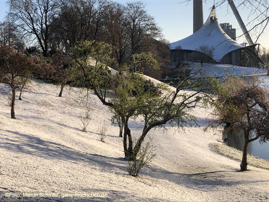 210406winter_hanami027