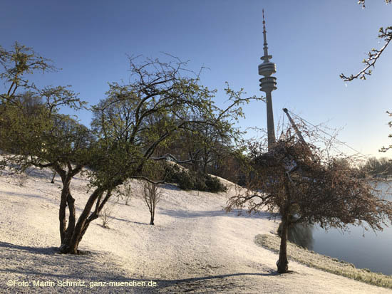 210406winter_hanami028