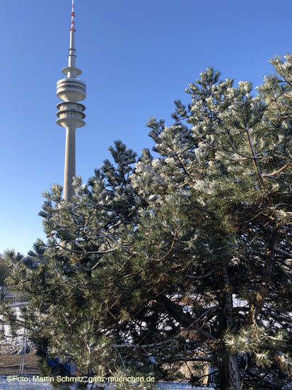 210406winter_hanami031