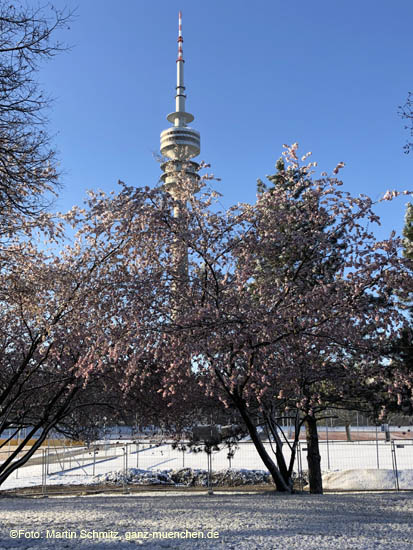 210406winter_hanami032