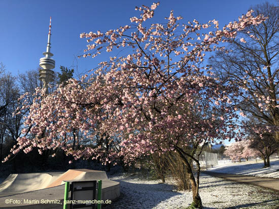 210406winter_hanami036