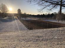 210406winter_hanami012