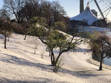 210406winter_hanami027