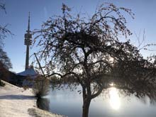 210406winter_hanami029