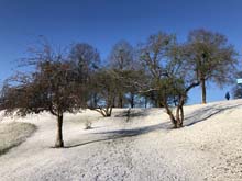 210406winter_hanami030