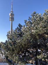 210406winter_hanami031