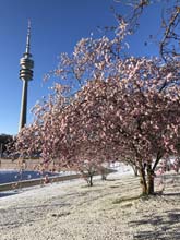 210406winter_hanami034