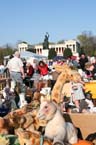 060422brk_flohmarkt18