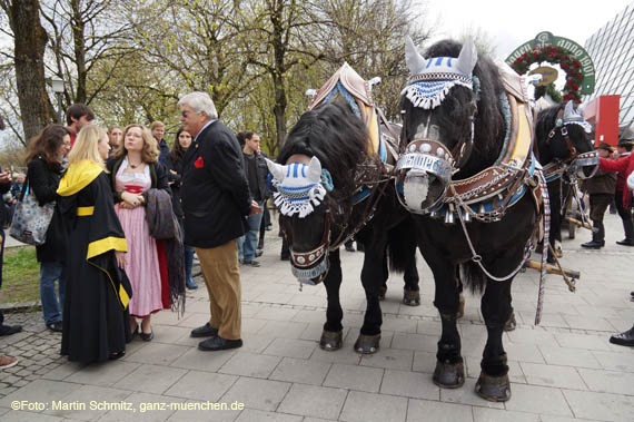 120420ms_festplatz017