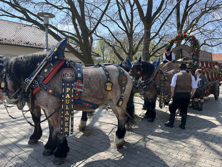 230421ms-fruehlingsfest002