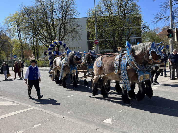 230421ms-fruehlingsfest031