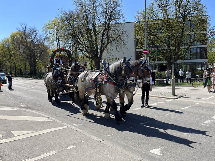 230421ms-fruehlingsfest032