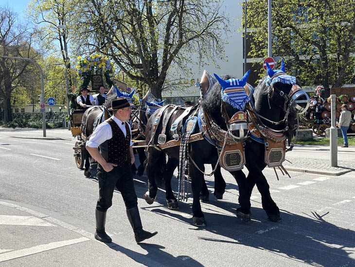 230421ms-fruehlingsfest033