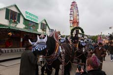 240419fruehlingsfest008